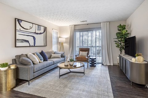 a living room with a couch and a tv at Gwinnett Pointe, Norcross, Georgia